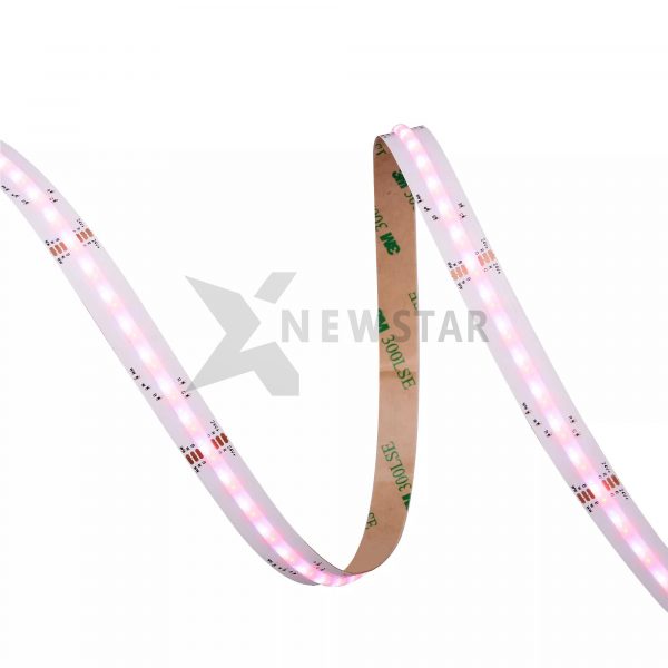 RGBCCT COB LED STRIP-3